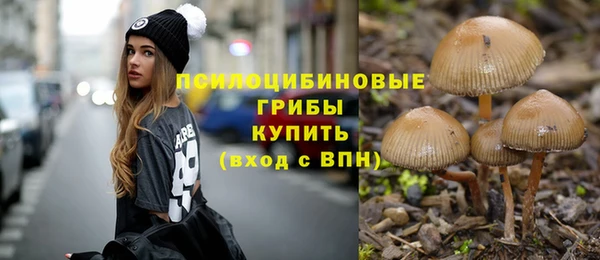 мет Инта