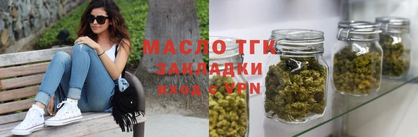 мет Инта
