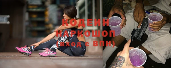 прущий лед Инсар