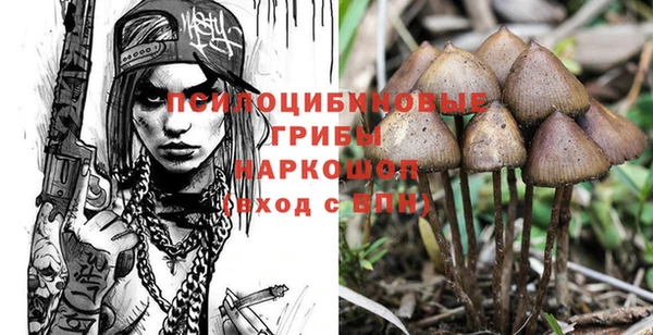 прущий лед Инсар