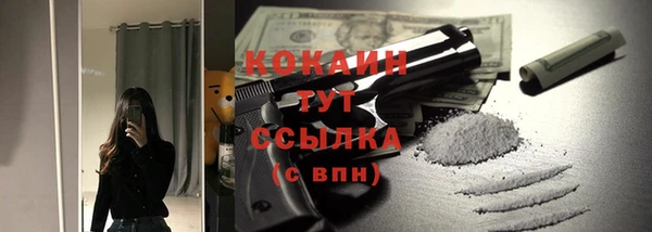 прущий лед Инсар