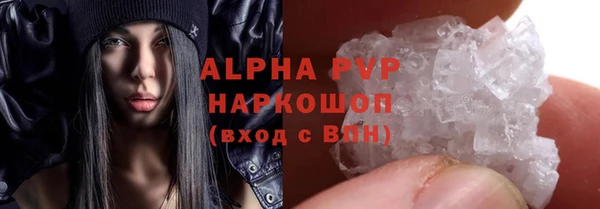 прущий лед Инсар