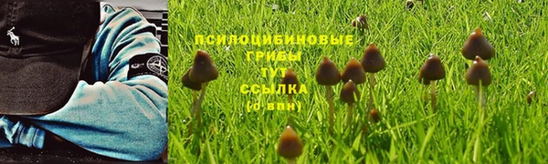 мет Инта
