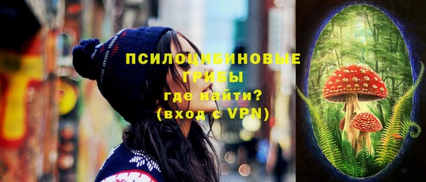 мет Инта