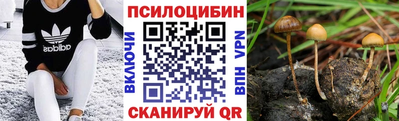 Купить закладки  Морозовск  Галлюциногенные грибы MAGIC MUSHROOMS 